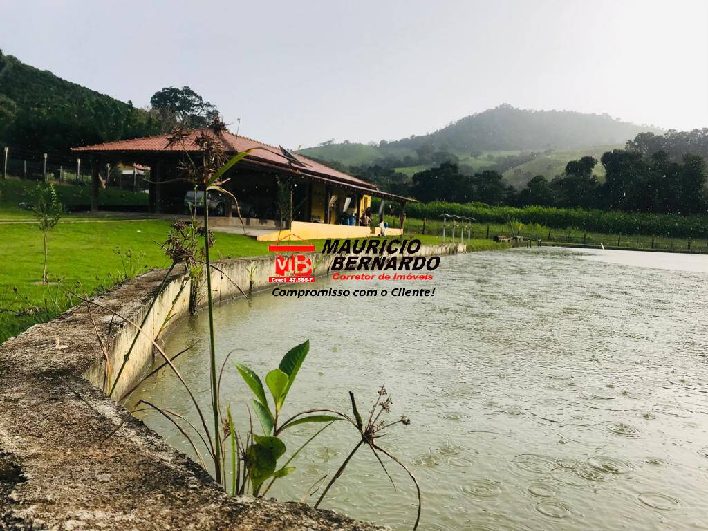 Chácara, 2 quartos, 5480 m² - Foto 2