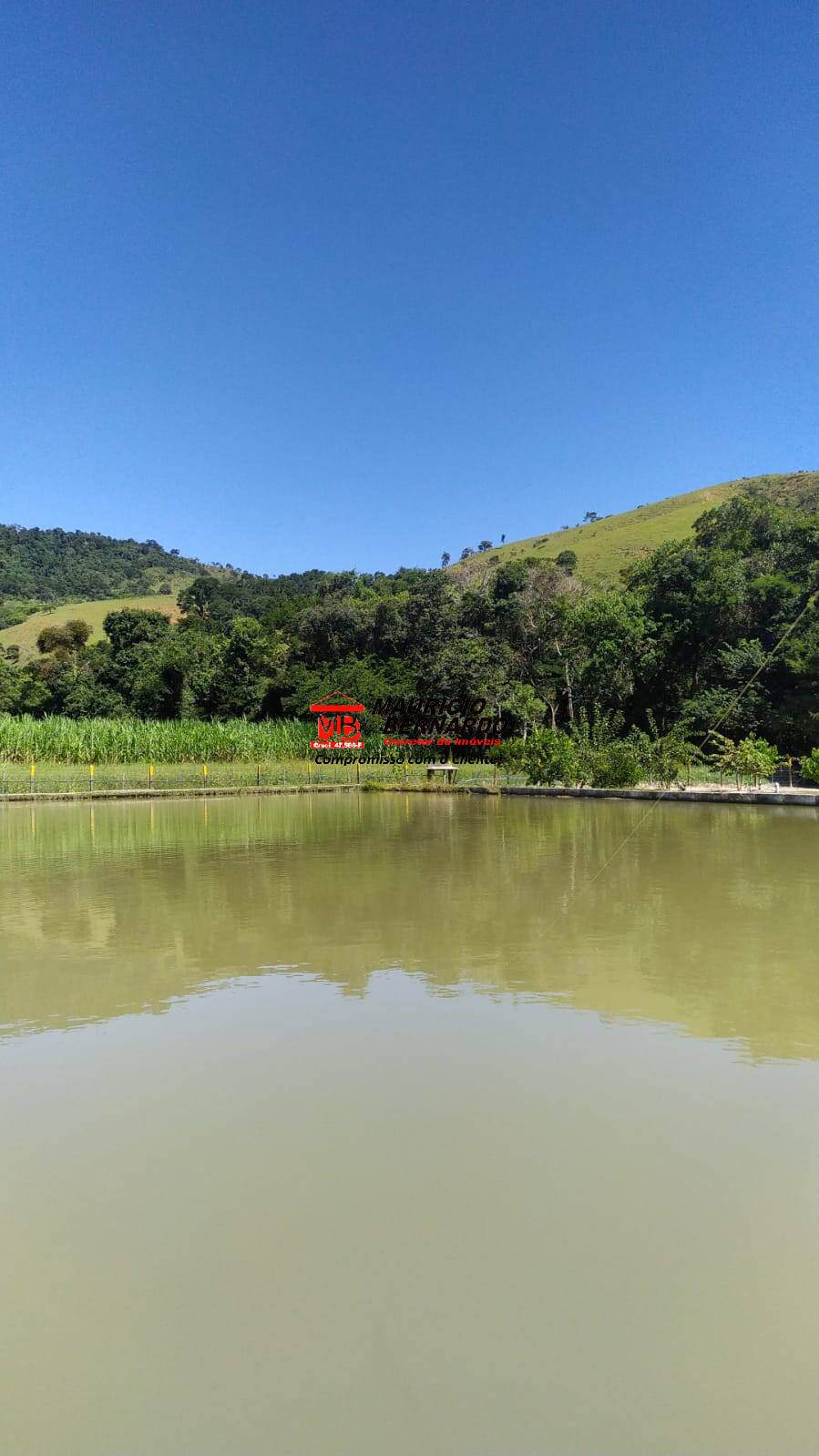 Chácara, 2 quartos, 5480 m² - Foto 3