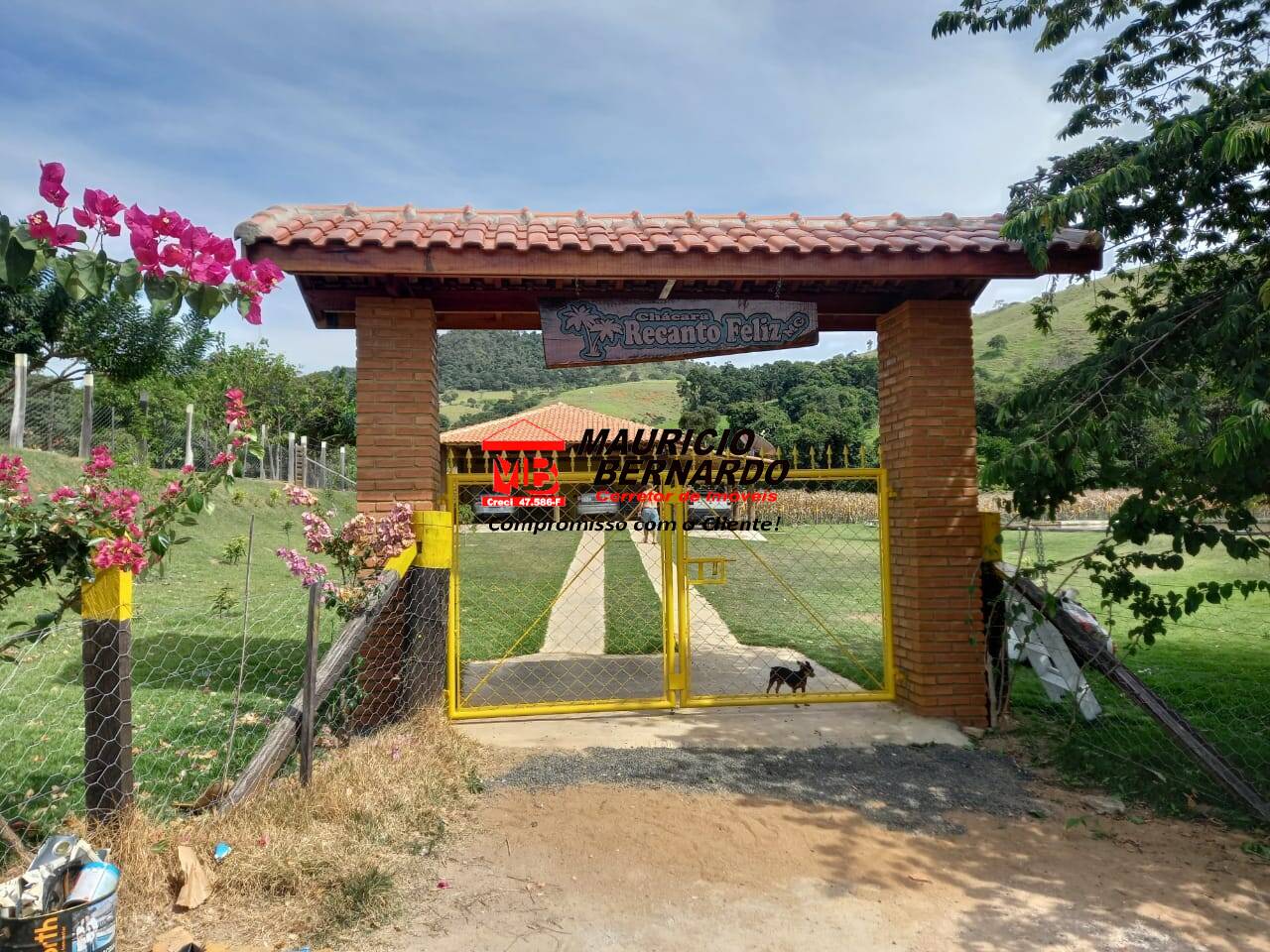 Chácara, 2 quartos, 5480 m² - Foto 10