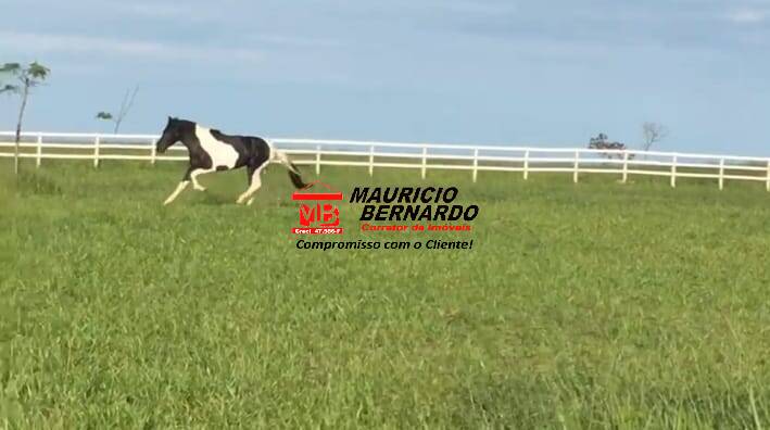 Fazenda, 22 m² - Foto 1