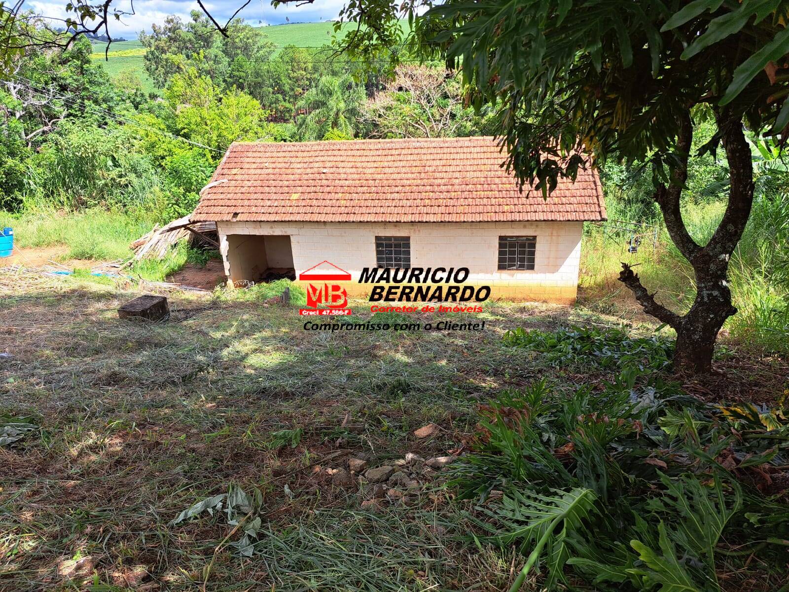 Sítio, 3 quartos, 14 m² - Foto 17