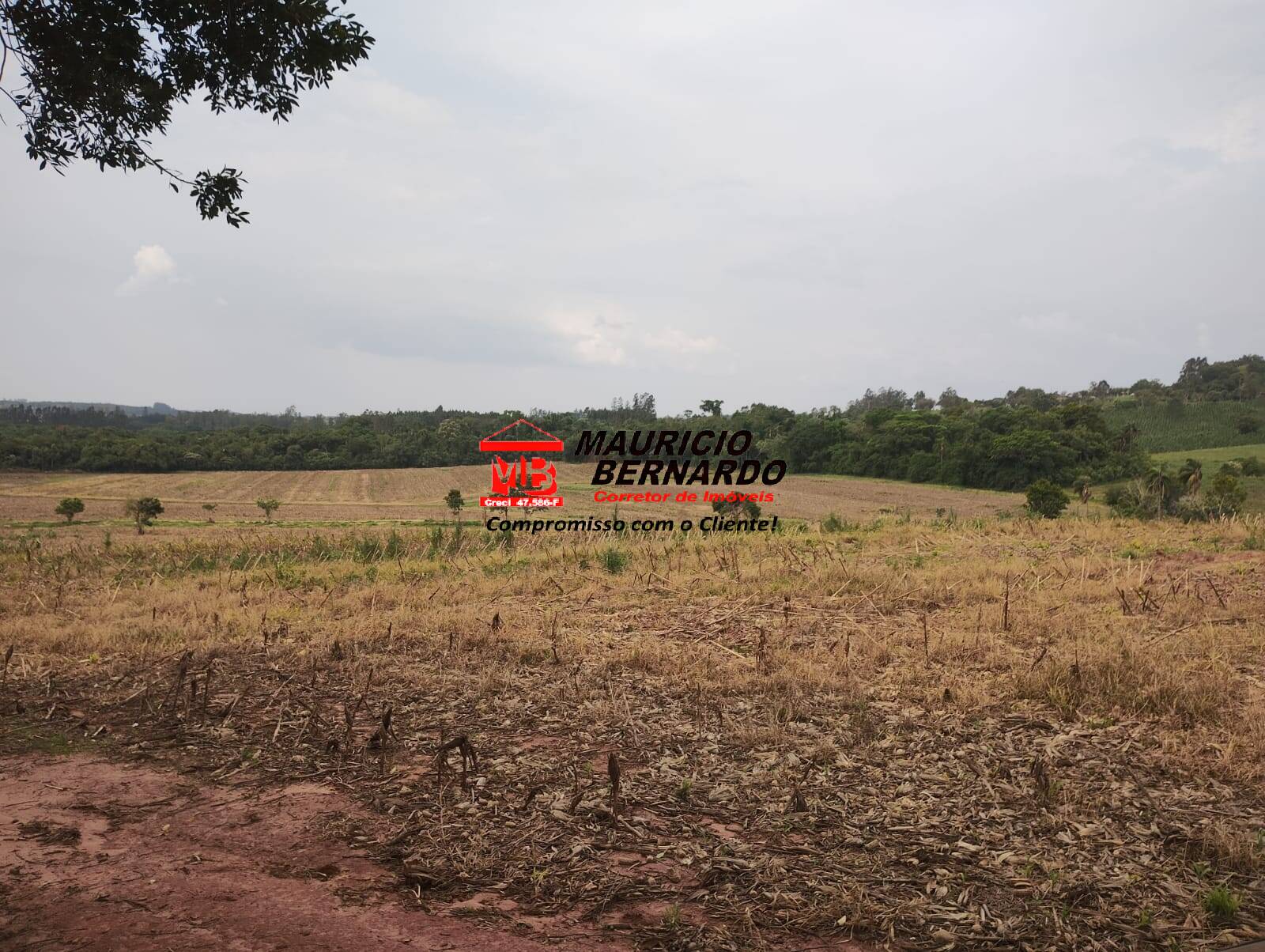 Terreno, 13 m² - Foto 12