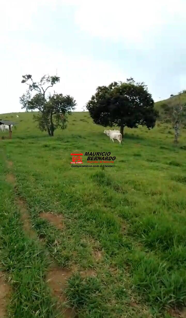Terreno, 103 m² - Foto 1