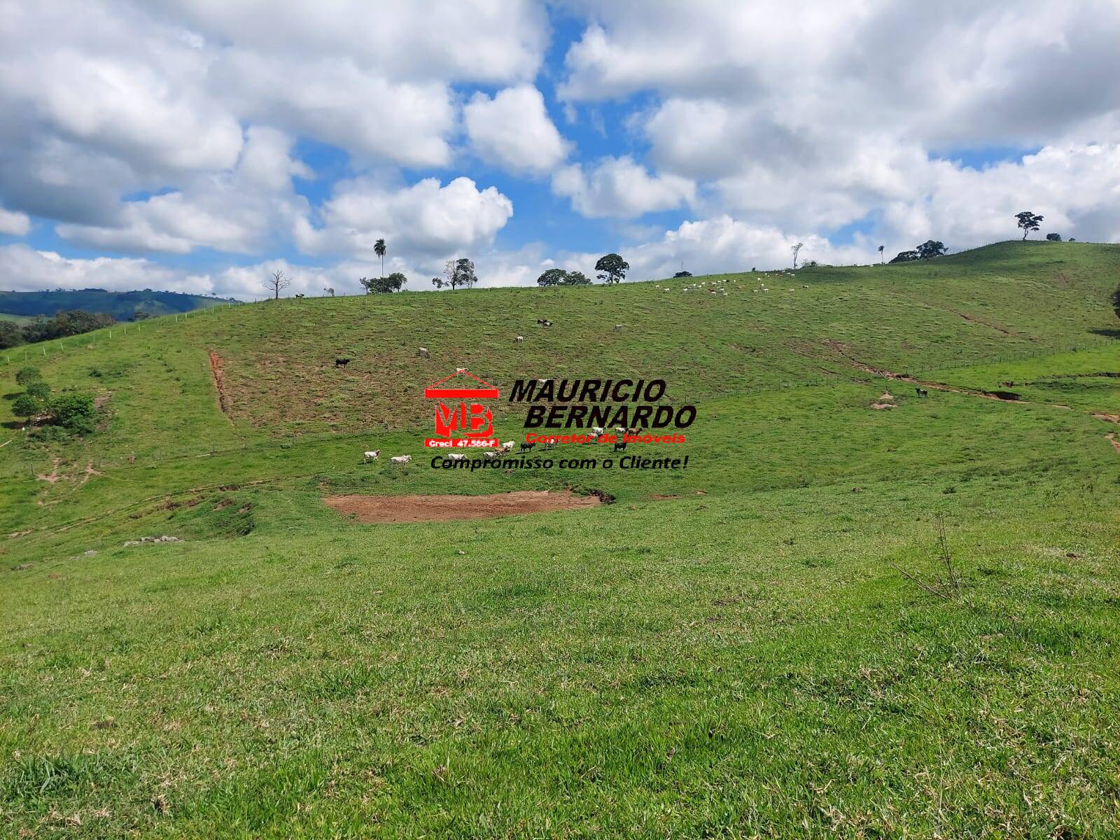 Terreno, 28 m² - Foto 4