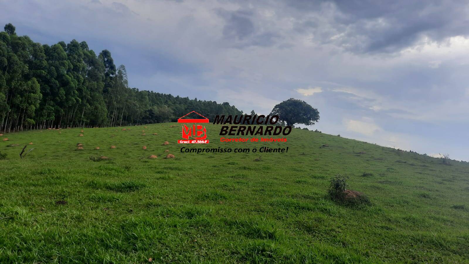 Terreno, 22 hectares - Foto 3