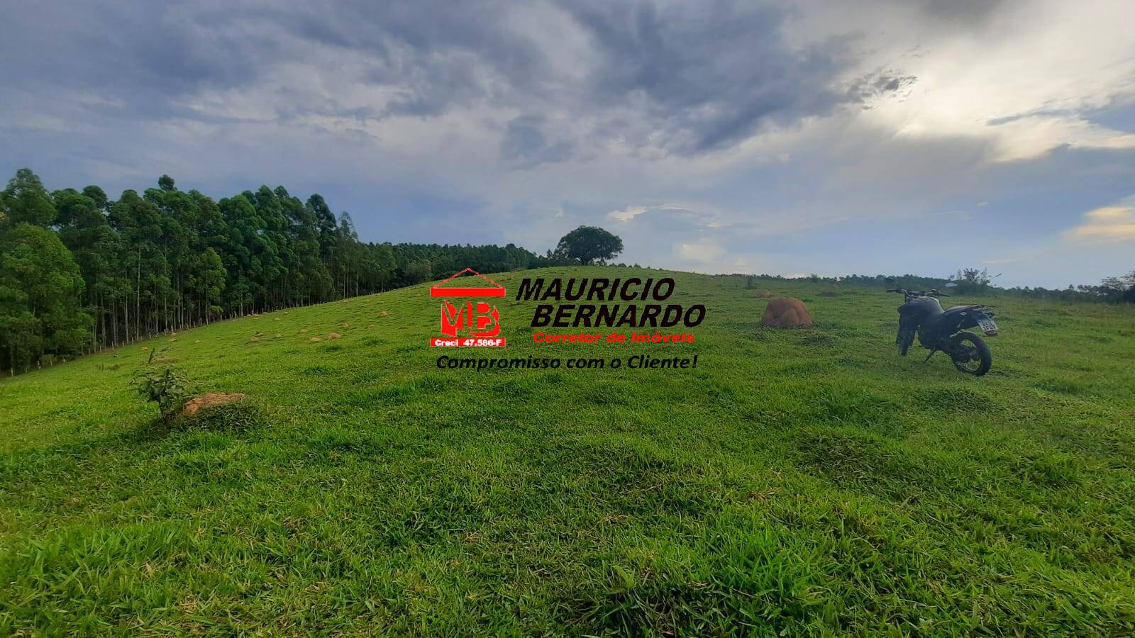 Terreno, 22 hectares - Foto 4