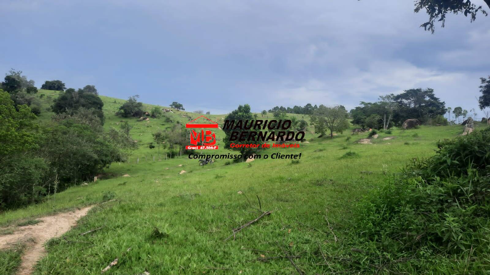 Terreno, 22 hectares - Foto 6
