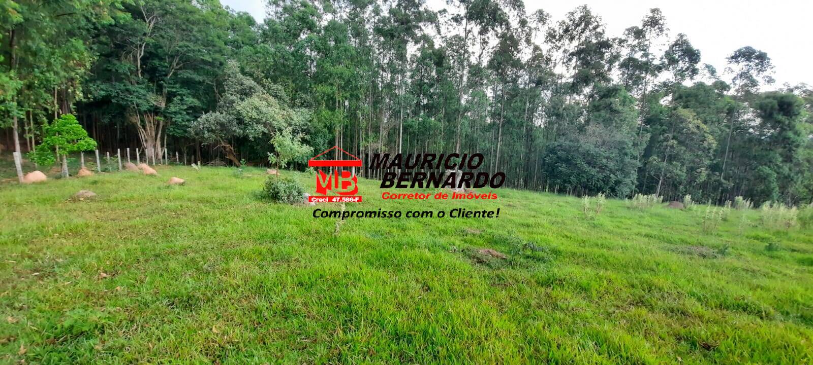 Terreno, 22 hectares - Foto 7