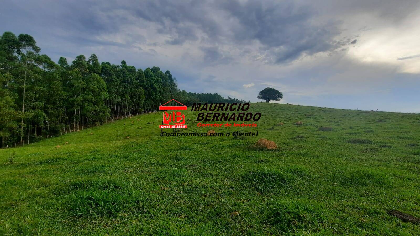 Terreno, 22 hectares - Foto 11
