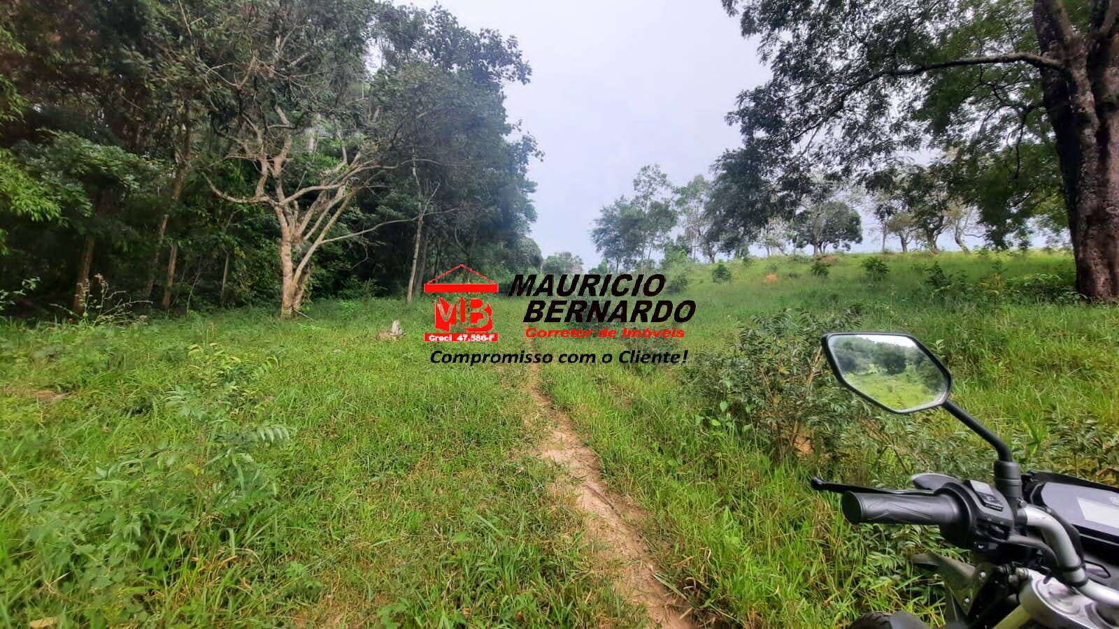 Terreno, 22 hectares - Foto 10