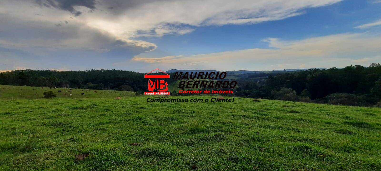 Terreno, 22 hectares - Foto 9