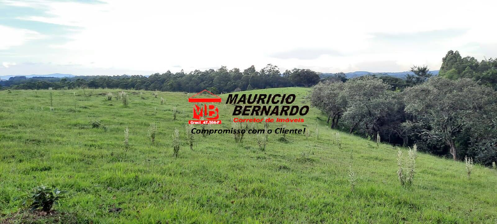 Terreno, 22 hectares - Foto 8