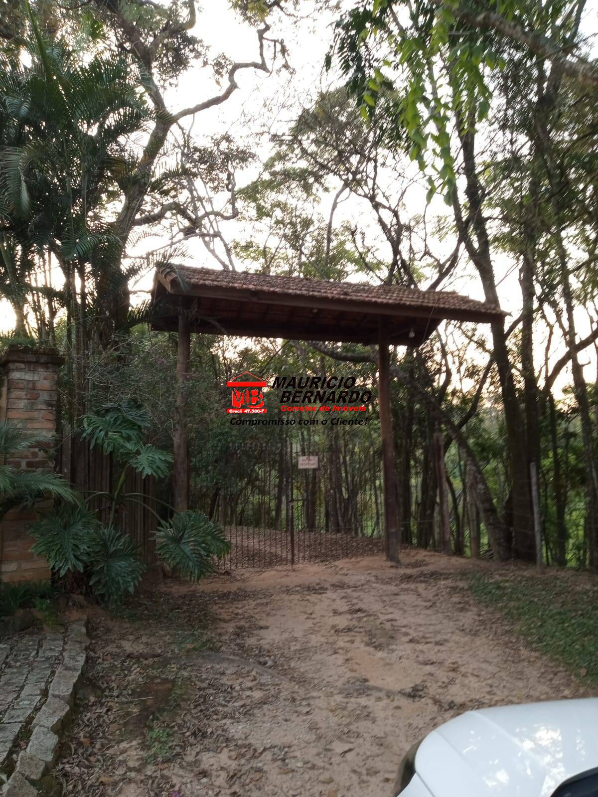 Terreno, 22 hectares - Foto 12