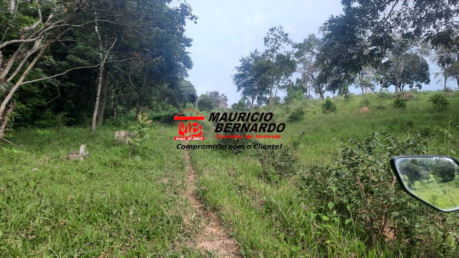 Terreno, 22 hectares - Foto 15