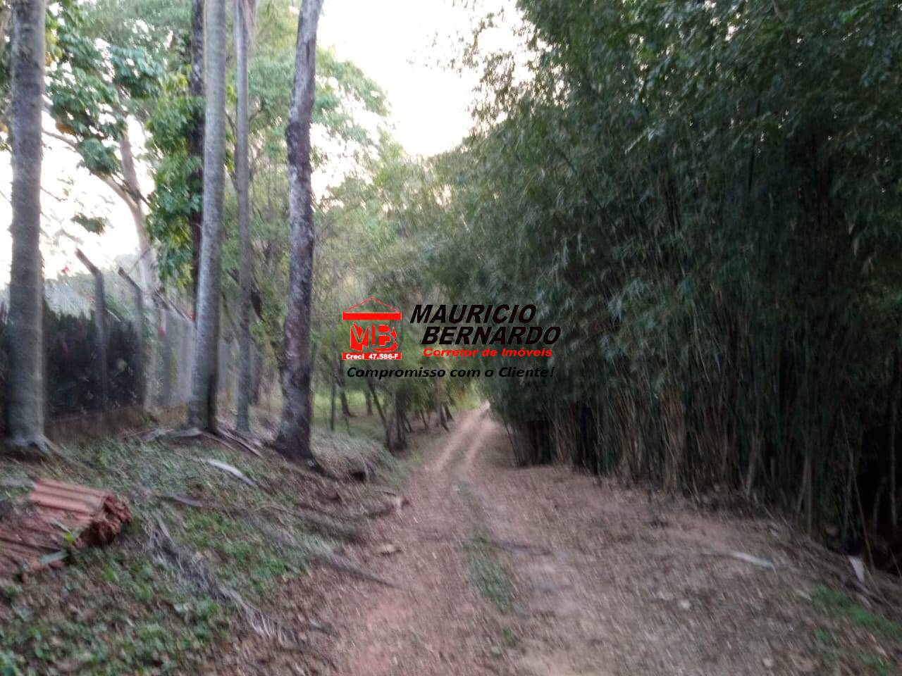 Terreno, 22 hectares - Foto 13