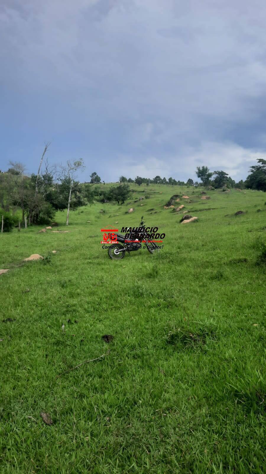 Terreno, 22 hectares - Foto 14