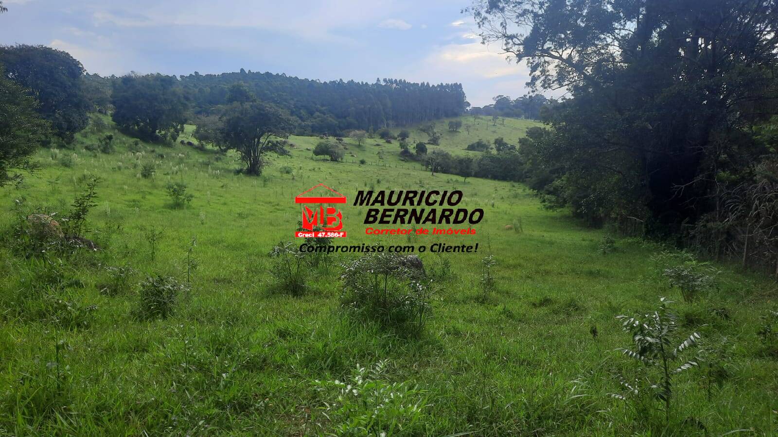 Terreno, 22 hectares - Foto 17