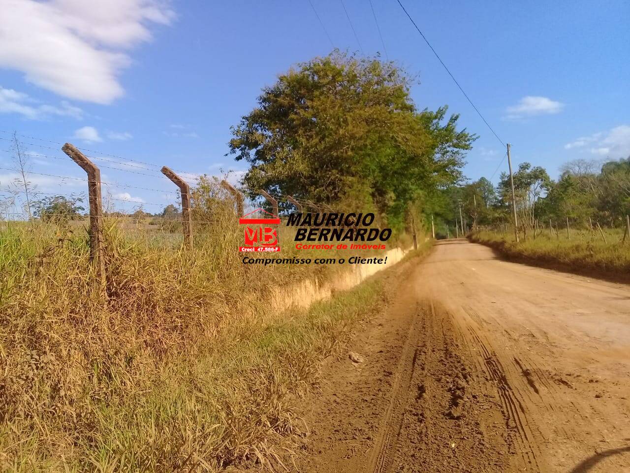 Prédio Inteiro - Foto 6