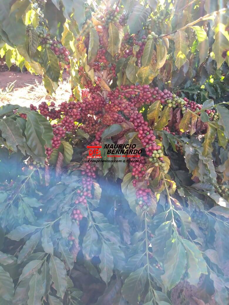 Terreno, 251 m² - Foto 1