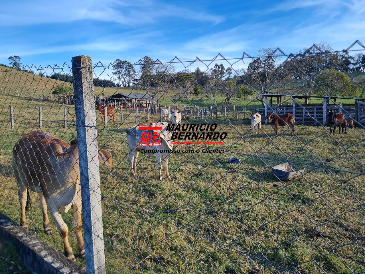 Terreno, 6 m² - Foto 10
