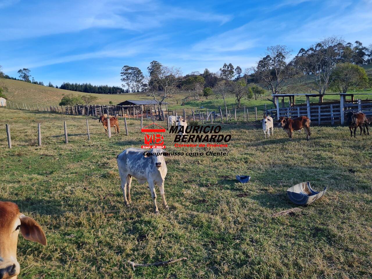 Terreno, 6 m² - Foto 12