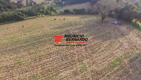 Terreno, 10 m² - Foto 6