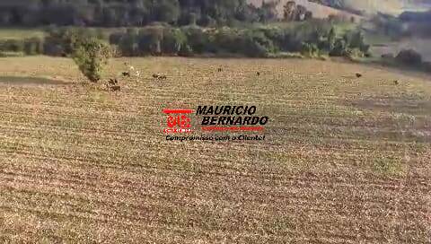Terreno, 10 m² - Foto 5