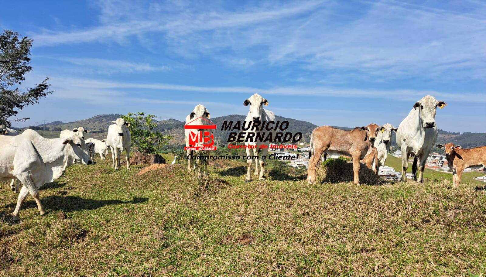 Terreno, 116 m² - Foto 2
