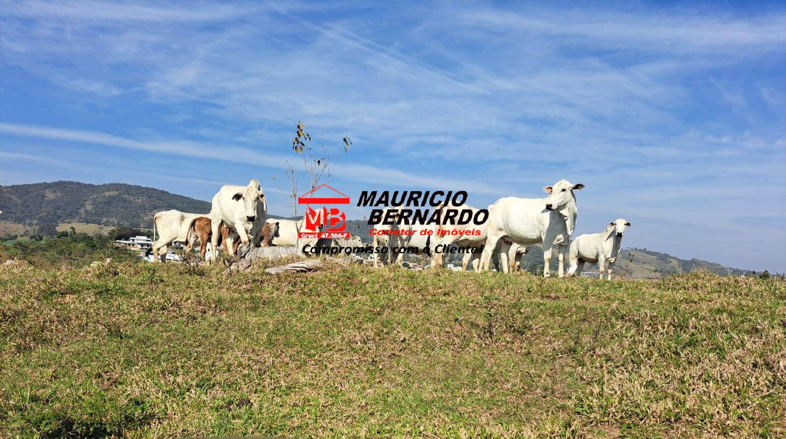 Terreno, 116 m² - Foto 1