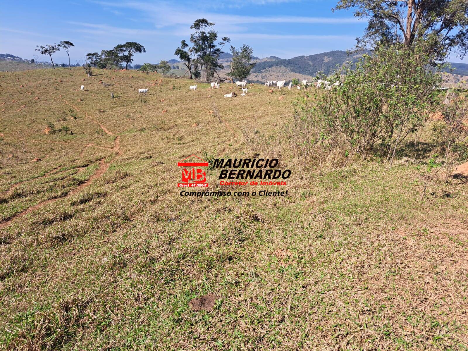 Terreno, 116 m² - Foto 17