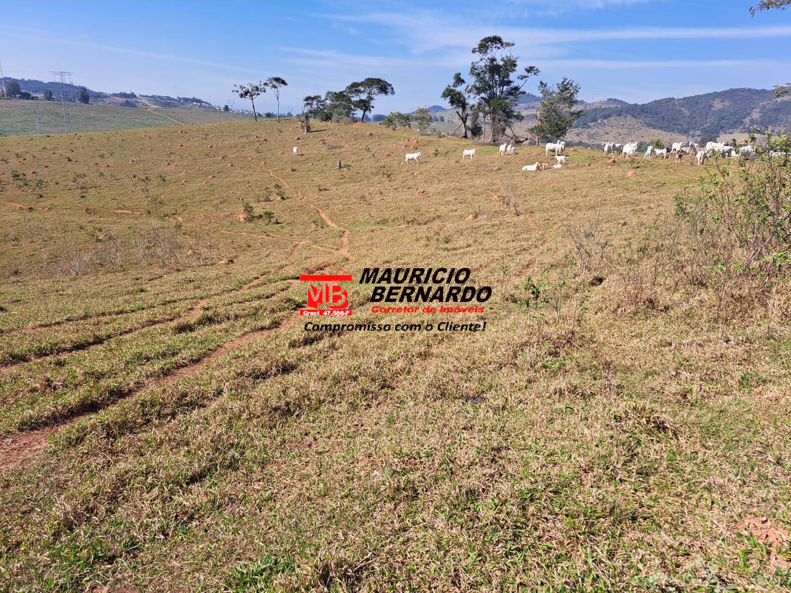 Terreno, 116 m² - Foto 9