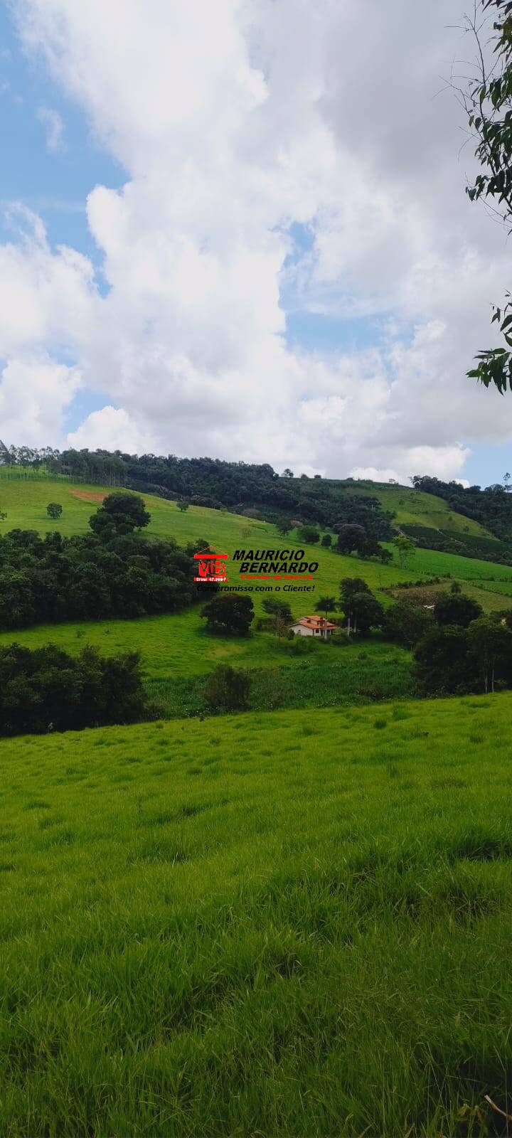 Terreno, 605 m² - Foto 6