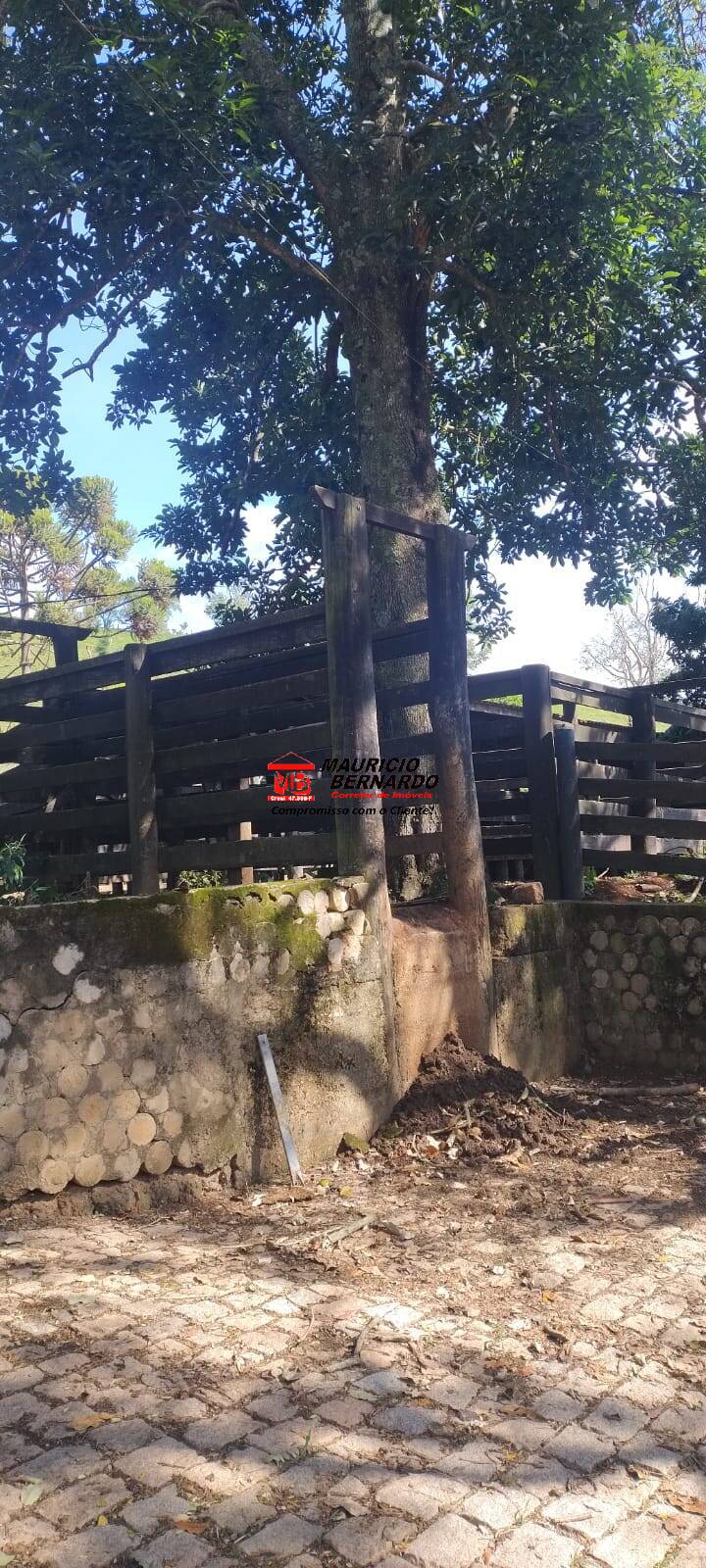 Terreno, 605 m² - Foto 11