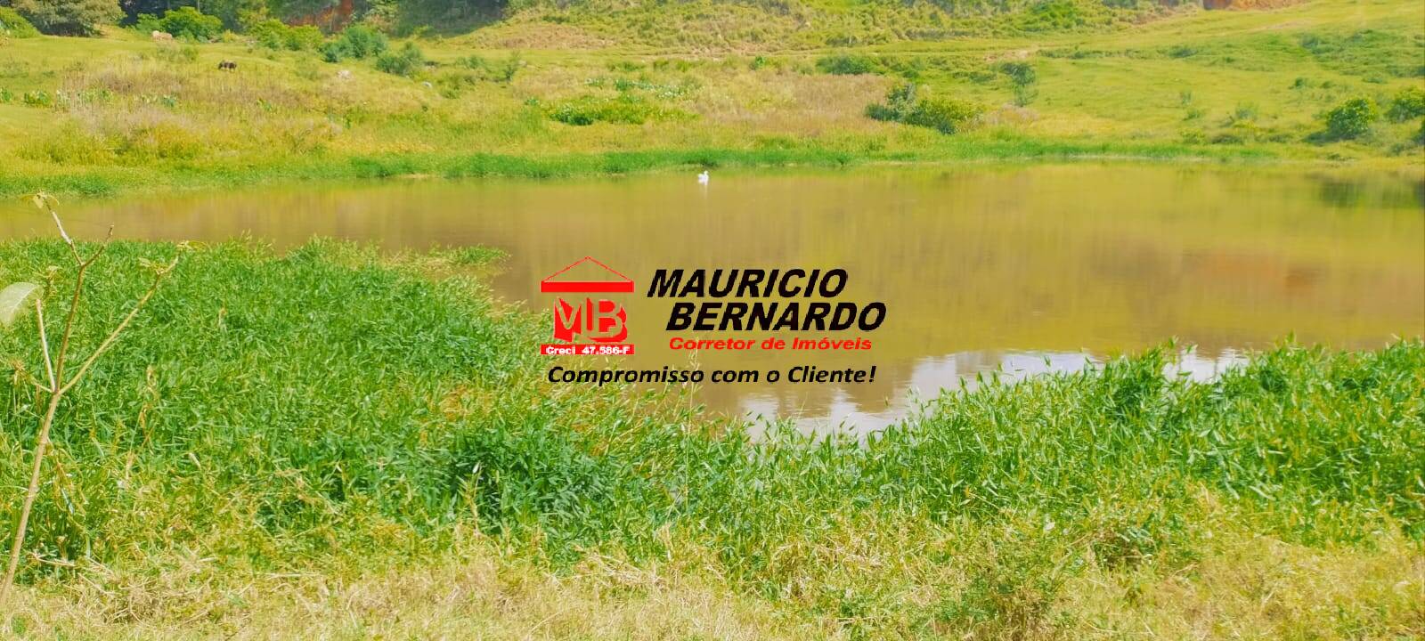 Terreno, 605 m² - Foto 16