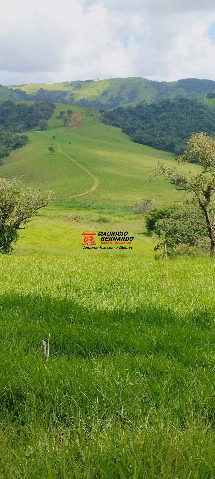 Terreno, 605 m² - Foto 18