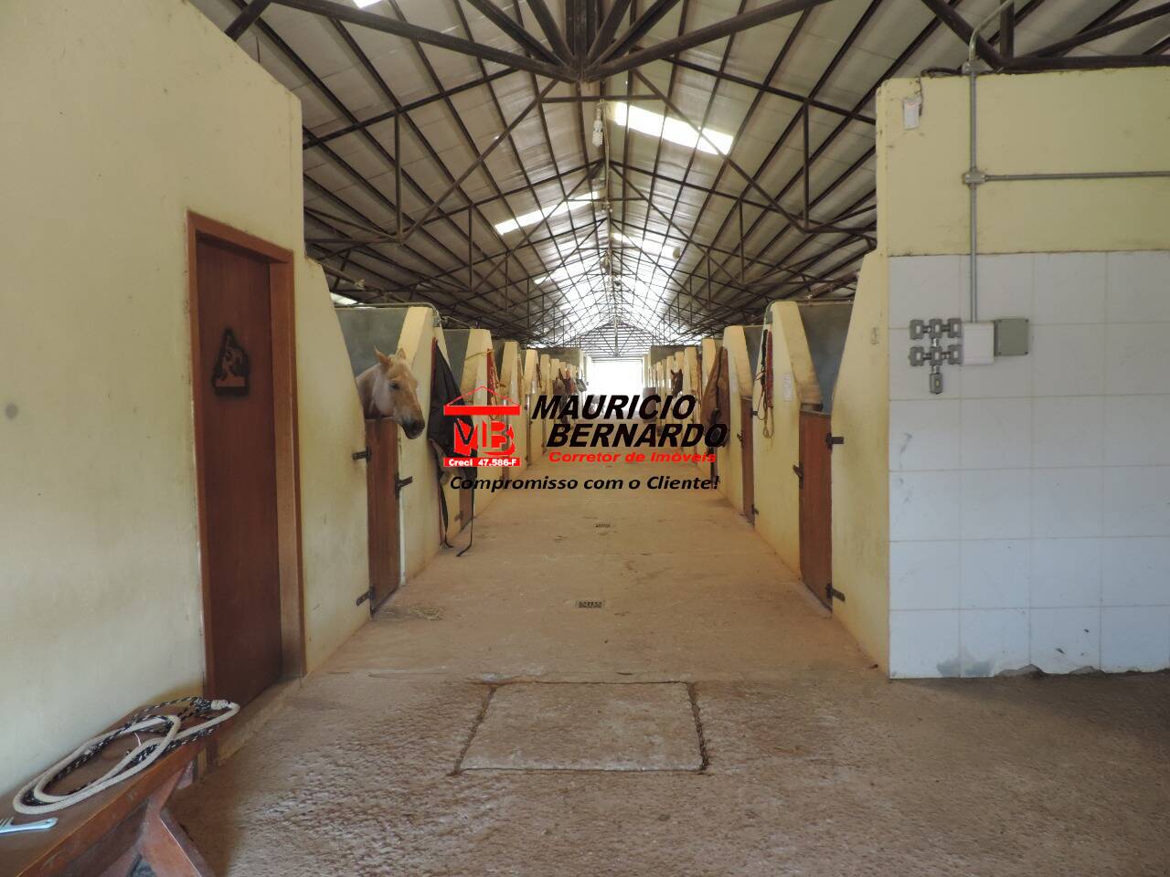 Sítio, 26 m² - Foto 17