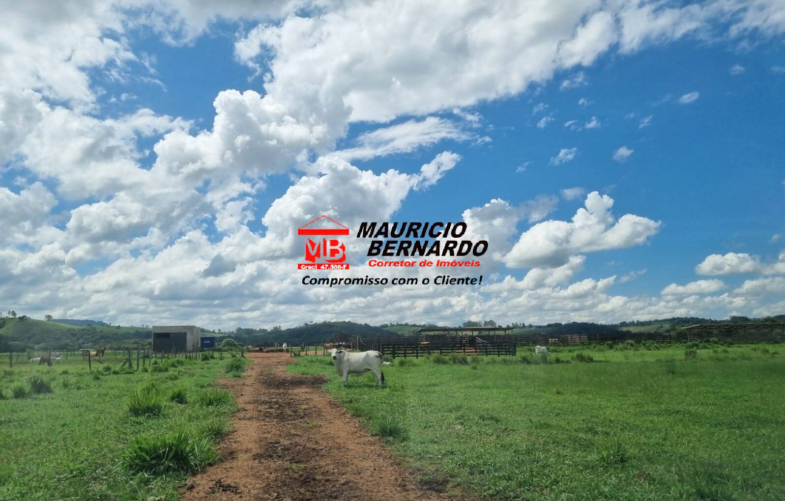Terreno, 172 m² - Foto 12
