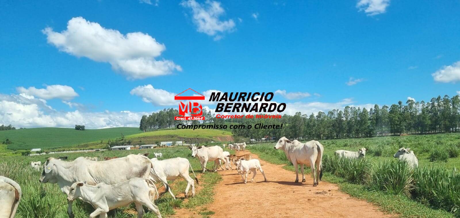Terreno, 172 m² - Foto 1