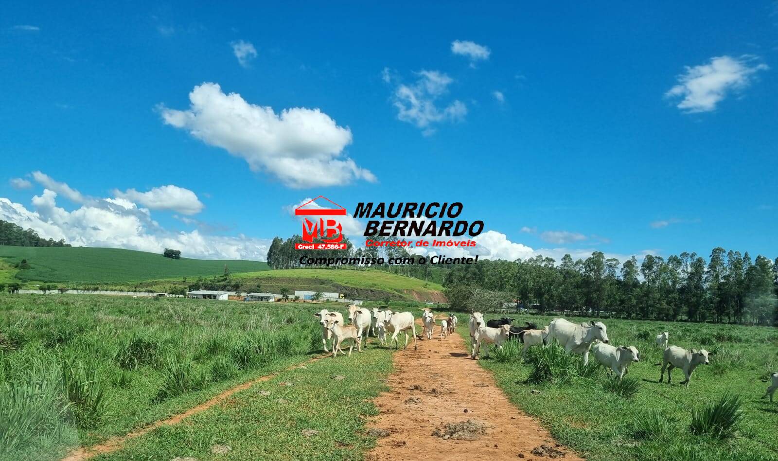Terreno, 172 m² - Foto 6