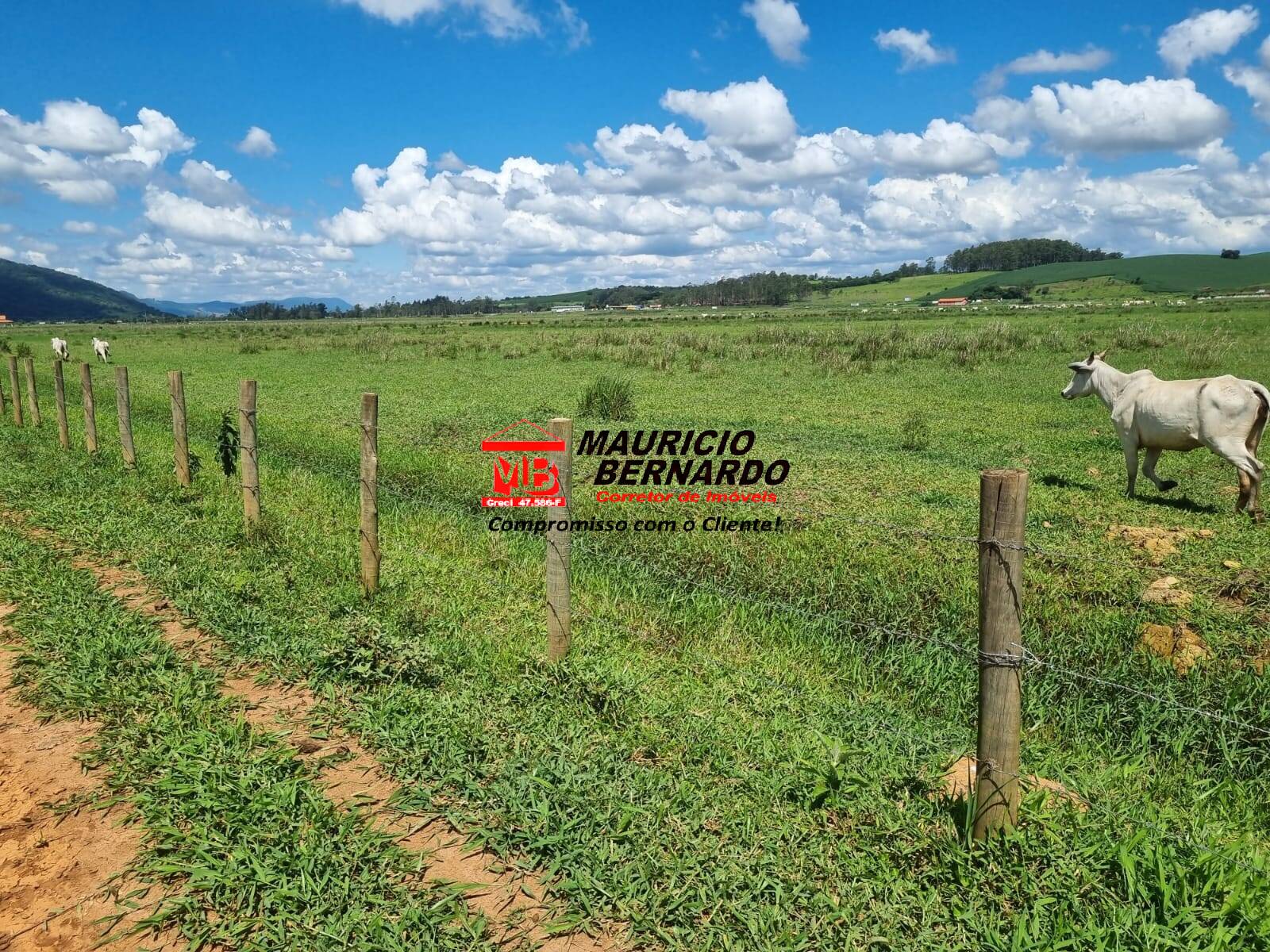 Terreno, 172 m² - Foto 9