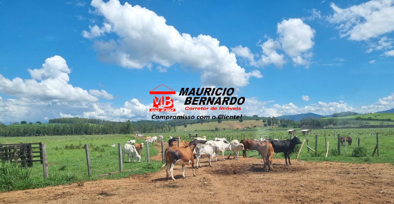 Terreno, 172 m² - Foto 8