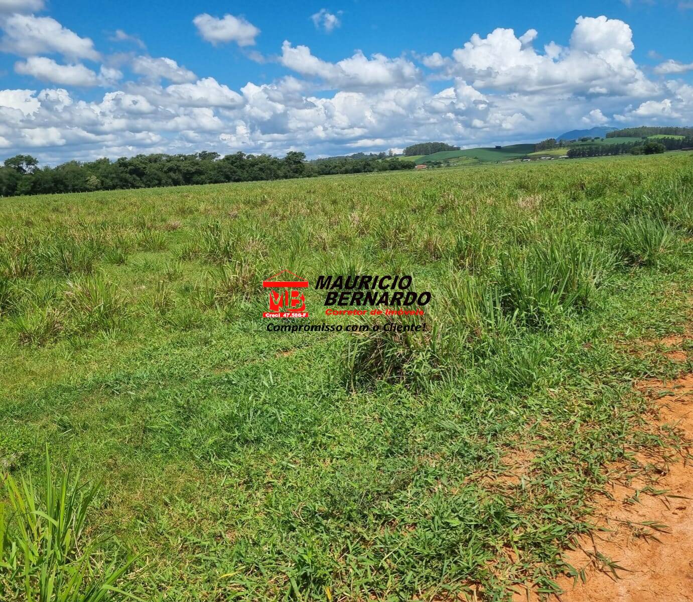 Terreno, 172 m² - Foto 24
