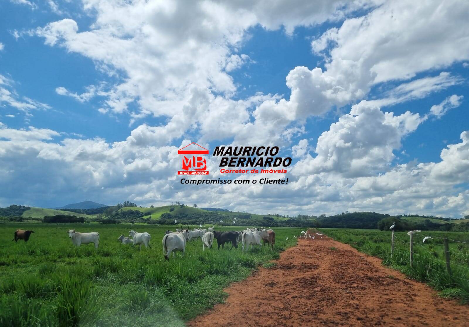 Terreno, 172 m² - Foto 4