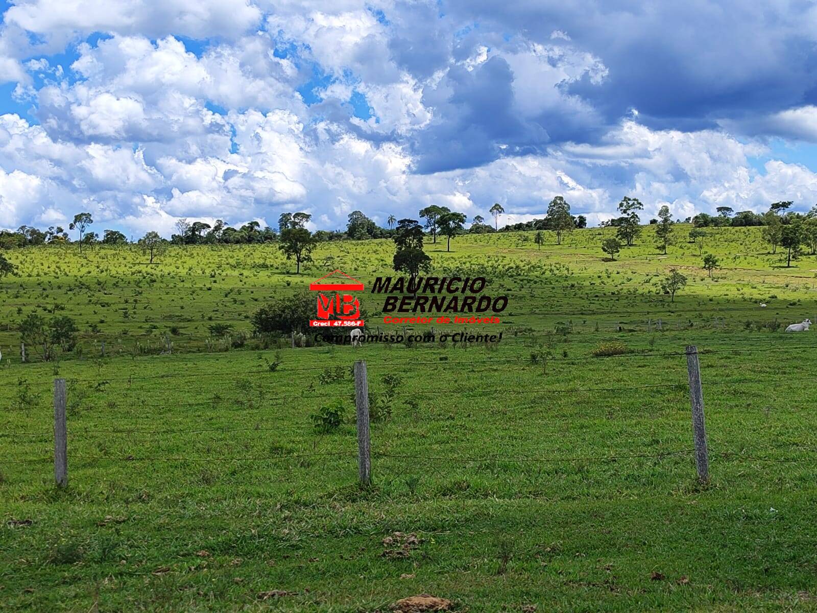 Terreno, 71 hectares - Foto 9
