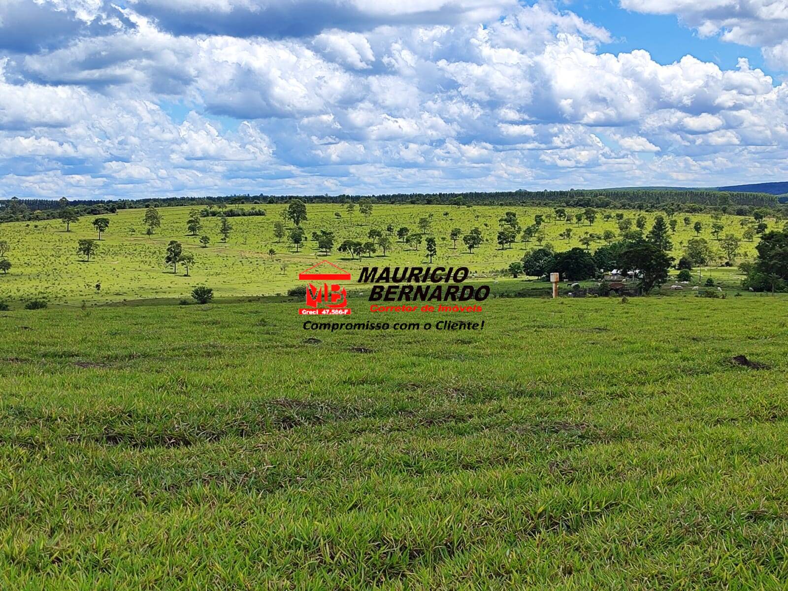 Terreno, 71 hectares - Foto 12