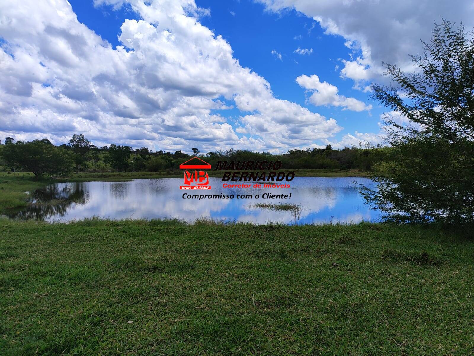 Terreno, 71 hectares - Foto 10
