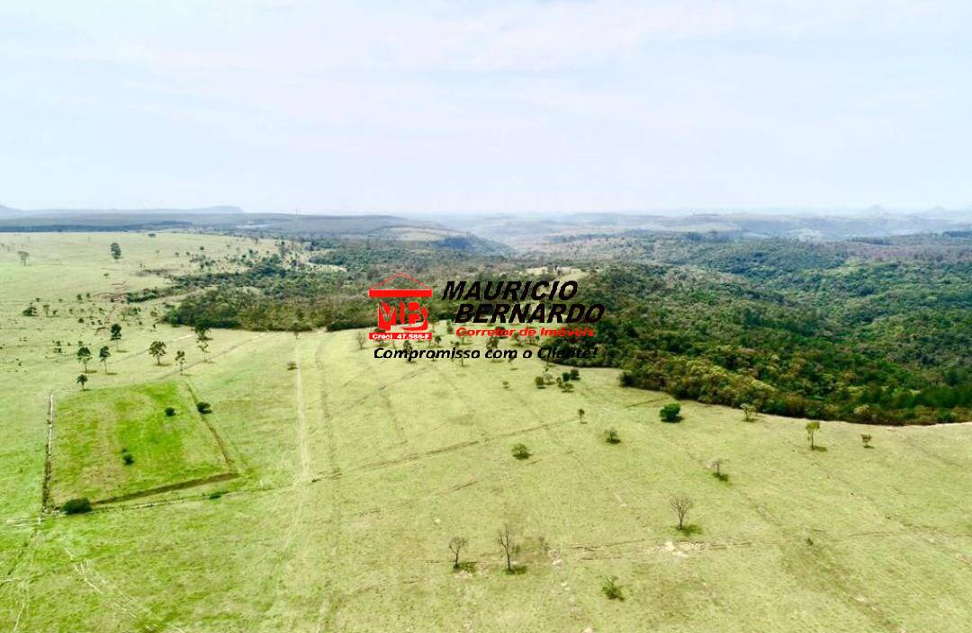 Terreno, 71 hectares - Foto 11