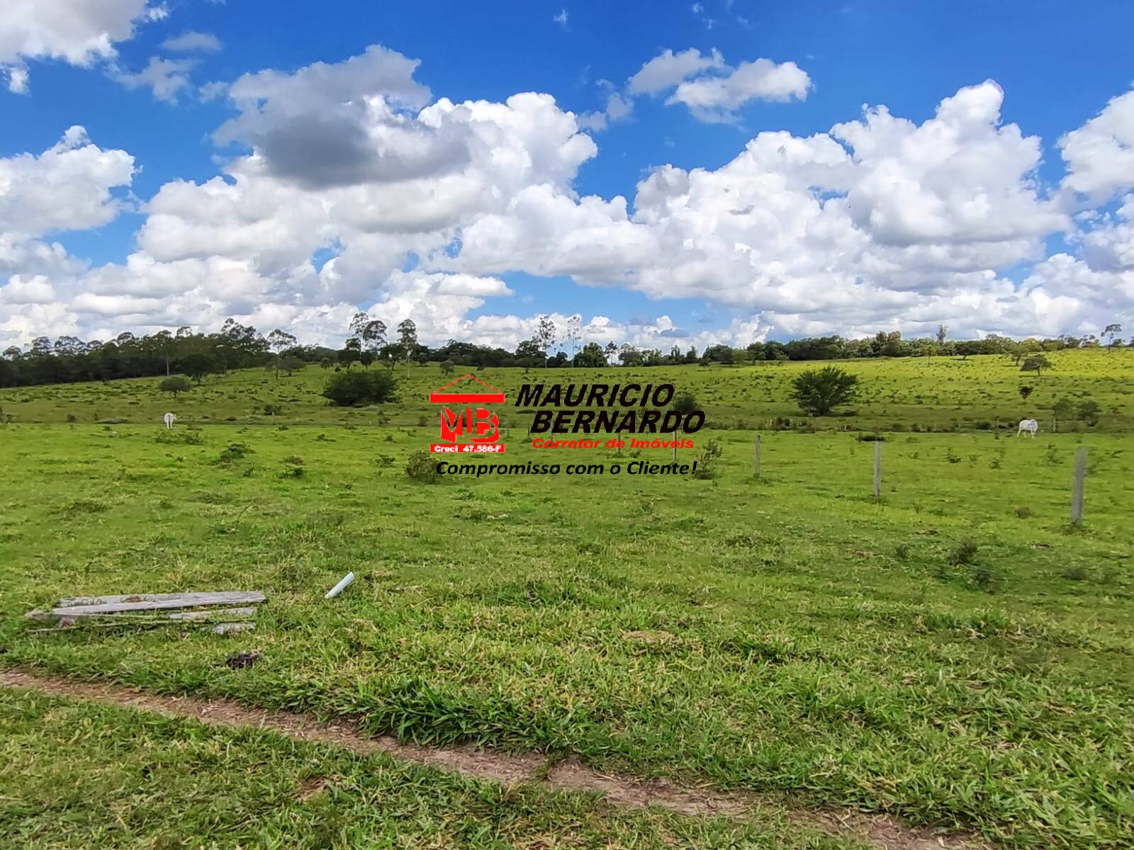 Terreno, 71 hectares - Foto 13