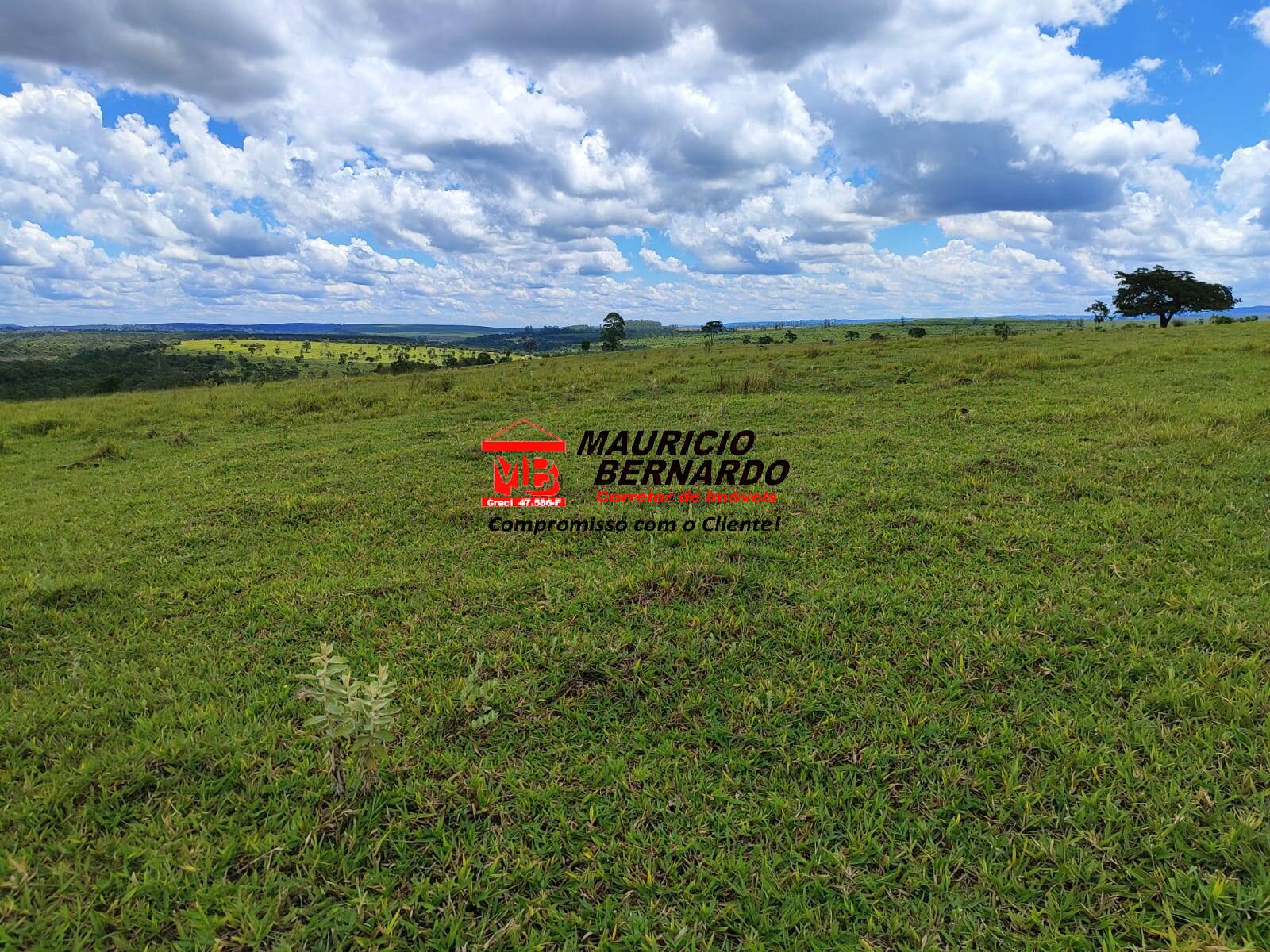 Terreno, 71 hectares - Foto 14