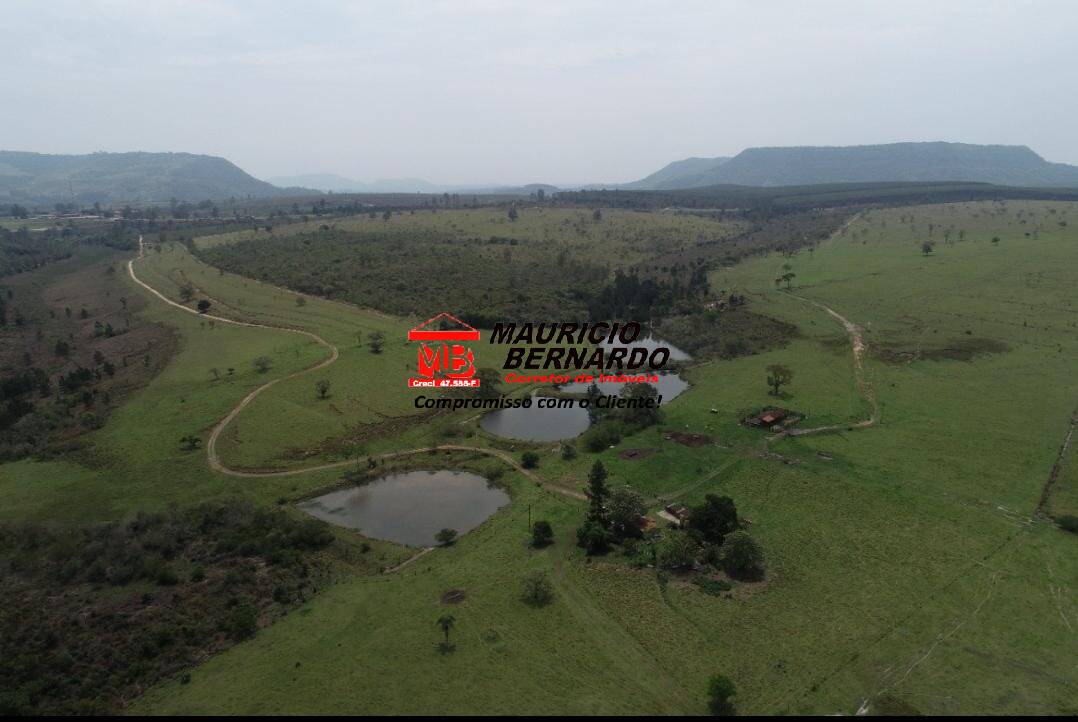 Terreno, 71 hectares - Foto 2